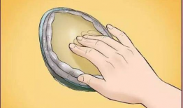 鲍鱼漫画网,带你领略幽默与智慧的海洋世界